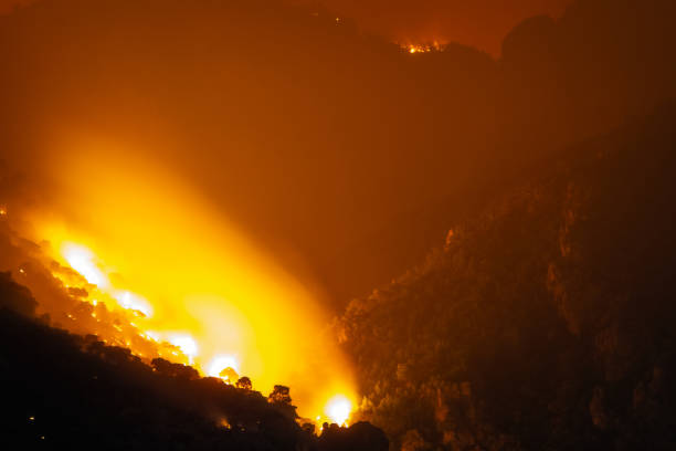 istock Fire destroying a forest at Loutraki in Greece. 1267273305