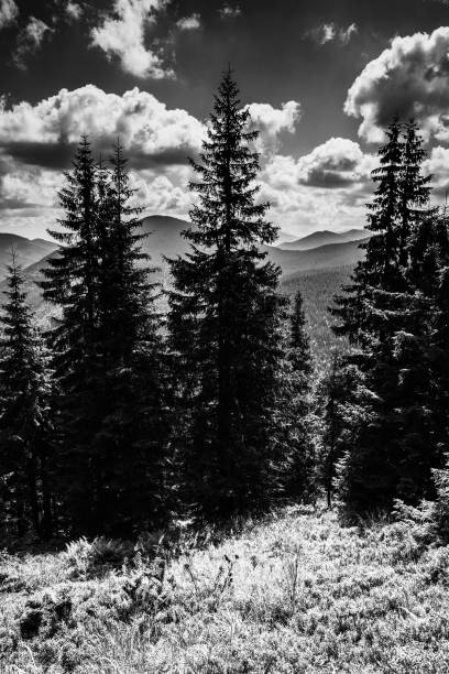 Spectacular mountain scenery of Carpathian Mountains, Ukraine