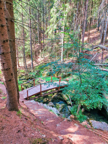 istock Wooden bridge in the Romanian Carpathian mountains 1267277382