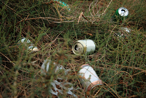 Garbage in the nature - Beer cans