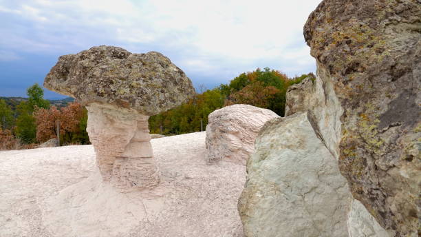Stone Mushrooms - natural rock formation in the form of huge, fossilized mushroom silhouettes near the village of Beli Plast, Bulgaria. The natural phenomenon in the mountains is characterized by delicate pink stems and light green mushroom caps, which were formed by different minerals in the original volcanic rock. setas porcini - formación rocosa natural en forma de enormes siluetas de setas fosilizadas cerca del pueblo de beli plast, bulgaria. el fenómeno natural en las montañas se caracteriza por delicados tallos rosados y tapas de setas de color verde claro, q