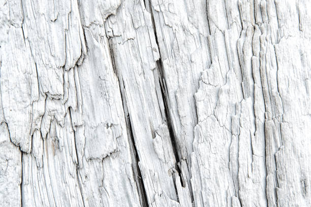 Texture of a driftwood with deep longitudinal cracks Texture of surface of a driftwood with deep longitudinal cracks driftwood photos stock pictures, royalty-free photos & images