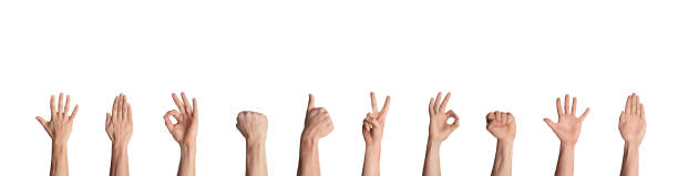 istock Sign language. Collage with male hands showing different gestures, isolated. Banner design 1267282833