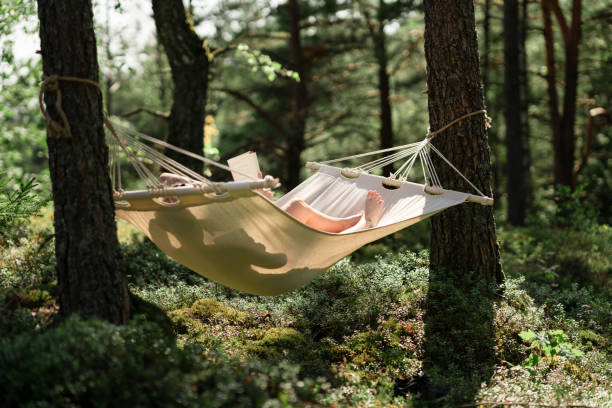 istock Woman in a hammock reading a book 1267287138