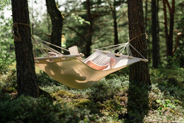 mulher em uma rede lendo um livro - summer women hammock nature - fotografias e filmes do acervo