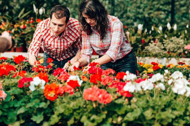 istock florist couple checking flowers 1267288015