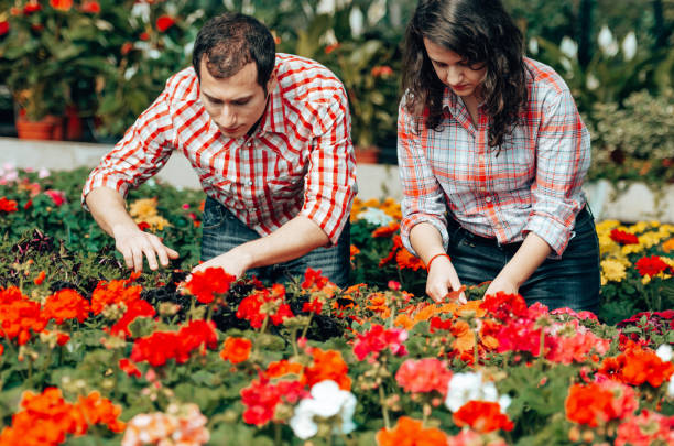 istock florist couple checking flowers 1267288081