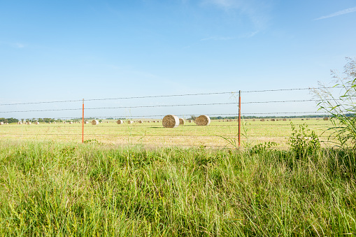 Rural scene big rolls of hay through fence  in field along rural Route 66 Oklahoma.