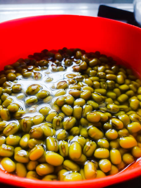 istock Green gram placed in soaked condition for sprouting in an orange bowl. 1267289673