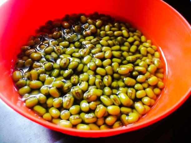 grünes gramm in eingeweichtem zustand zum keimen in einer orangenschüssel platziert. - mung bean stock-fotos und bilder