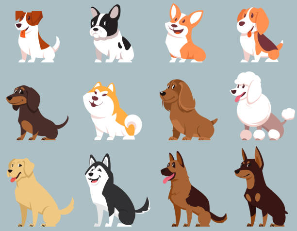 ilustraciones, imágenes clip art, dibujos animados e iconos de stock de perros sentados de diferentes razas. - dog sitting
