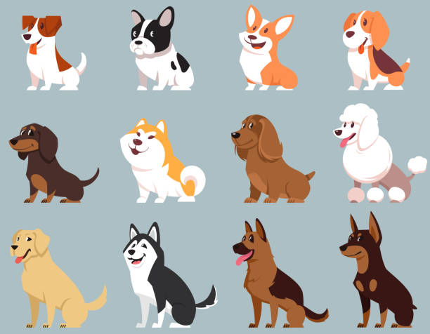 ilustrações de stock, clip art, desenhos animados e ícones de sitting dogs of different breeds. - purebred dog illustrations