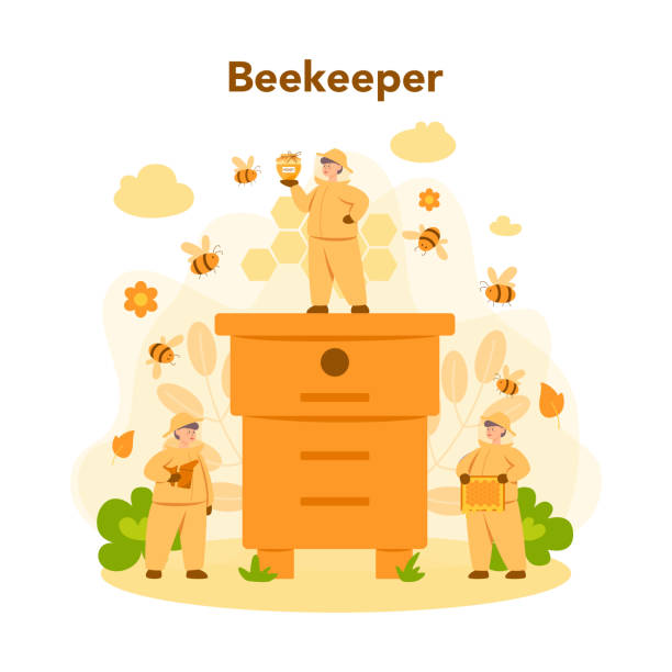 Hiver or beekeeper concept. Professional farmer with hive Hiver or beekeeper concept. Professional farmer with hive and honey. Countryside organic product. Apiary worker, beekeeping and honey production. Vector illustration hiver stock illustrations