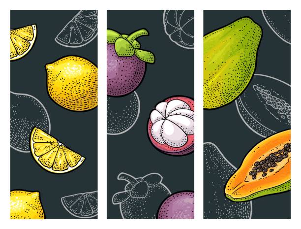 トロピカルフルーツをセット。ベクトルカラーとモノクロヴィンテージ彫刻 - mangosteen fruit tropical fruit backgrounds点のイラスト素材／クリップアート素材／マンガ素材／アイコン素材