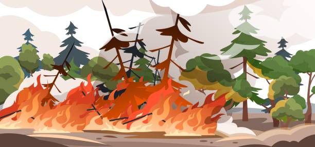 Forest fire. Burning spruces and oak trees, wood plants in flame and smoke, nature disaster cartoon illustration. Vector poster Forest fire. Burning spruces and oak trees, wood plants in flame and smoke, nature disaster cartoon illustration. Vector poster flame in nature outdoor, save environment from burn woods oak fire stock illustrations