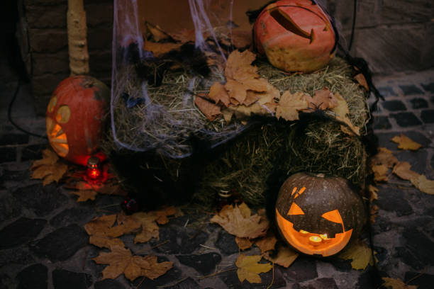istock Happy Halloween. Spooky Jack-o'-lantern with glowing faces and cobweb in dark. Pumpkin with scary carved face on hay with candle light, modern festive halloween street decor. 1267296055
