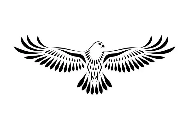 Vector illustration of Engraving of stylized hawk on white background