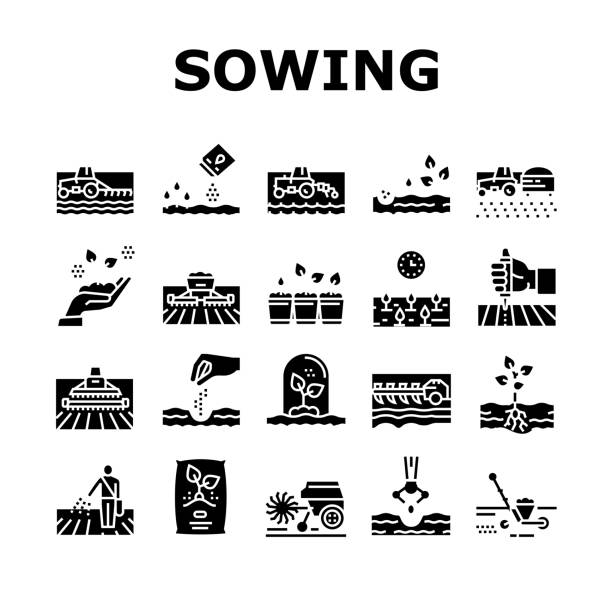 Sowing Agricultural Collection Icons Set Vector Sowing Agricultural Collection Icons Set Vector. Sowing Seeds And Field Processing, Plant Care And Harvesting, Tractor And Harvester Glyph Pictograms Black Illustrations fertilizer icon stock illustrations