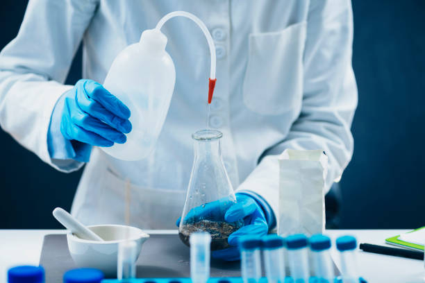 istock Pesticides in Tea. Quality Control Inspector Working with Herbal Tea Sample in Laboratory 1267299649