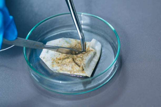 istock Food Safety Laboratory Tea Bag Examination 1267299754