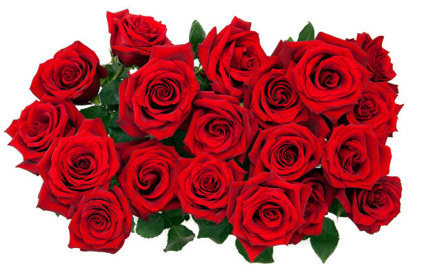 istock bouquet of red roses on a white background, top view 1267301342