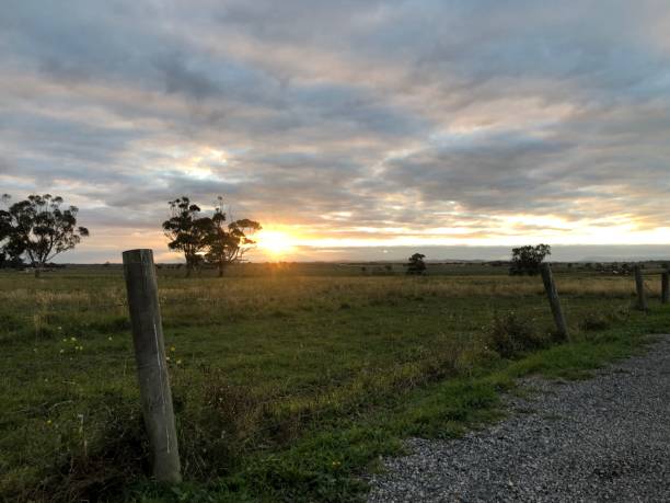 istock Sunset in the countryside 1267302727