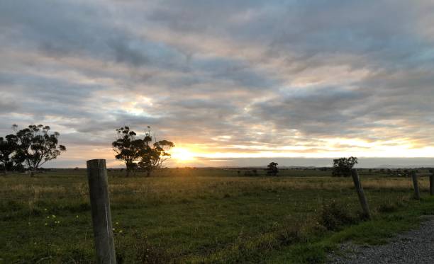 istock Sunset in the countryside 1267302744