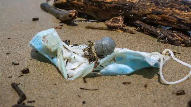 Poor hermit crab carry a tube plastic crawling on the sand beach with a medical masks. Plastic garbage ends up in the ocean, threatens the marine lives. Animal use human waste as habitat.