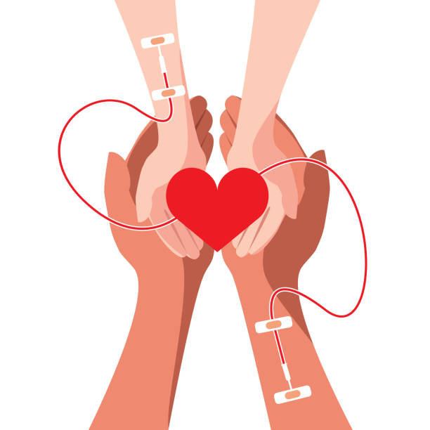 blood donation concept vector art illustration