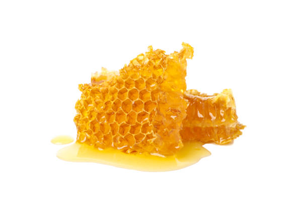 istock Fresh honeycomb pieces isolated on white background 1267306820