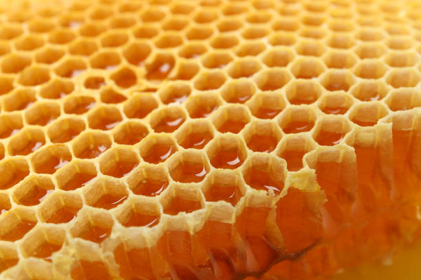 istock Fresh honeycomb on whole background, close up 1267307617