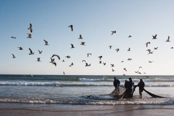 Traditional Fishing in Portugal stock photo