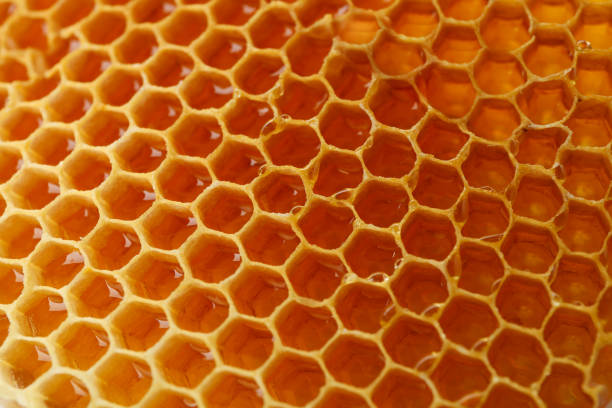 istock Fresh honeycomb on whole background, close up 1267308096