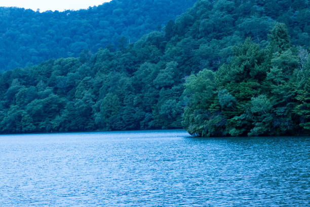 istock Lakes and forests 1267308261