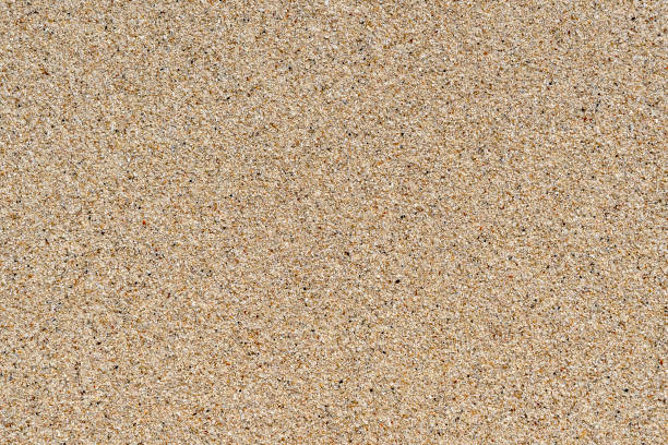 istock Sandy beach background. Detailed sand texture. Top view 1267310628