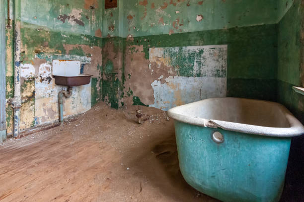 istock Bathroom in a ruin at Kolmansko 1267315451