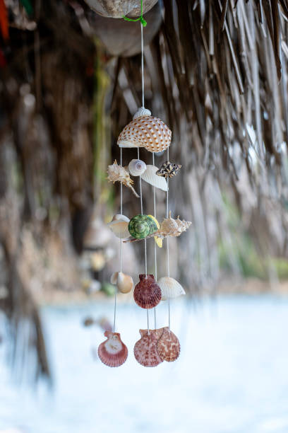 istock Seashells hanging on the ropes on a tropical beach, Thailand, closeup 1267315840