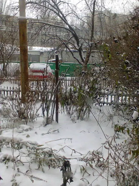 Winter Snow White Frontyard