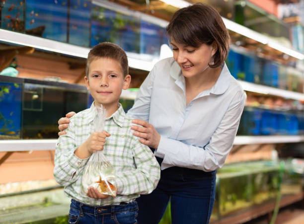 istock Family buying goldfish 1267319462
