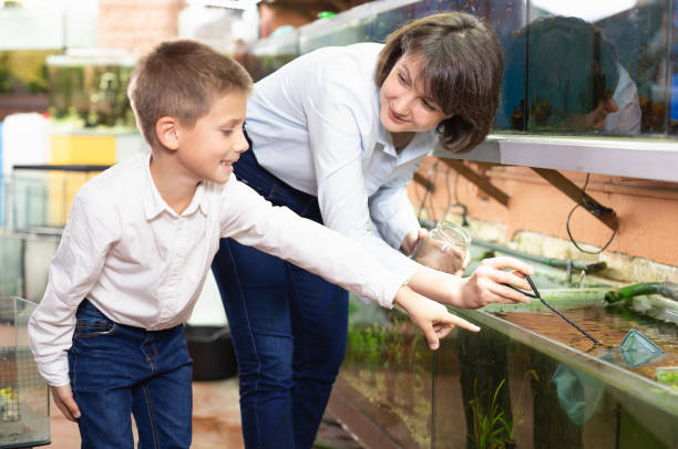 istock Saleswoman catching fish for boy 1267319475