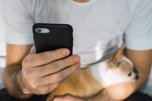 young man using his cell phone and holding his chihuahua dog with one arm