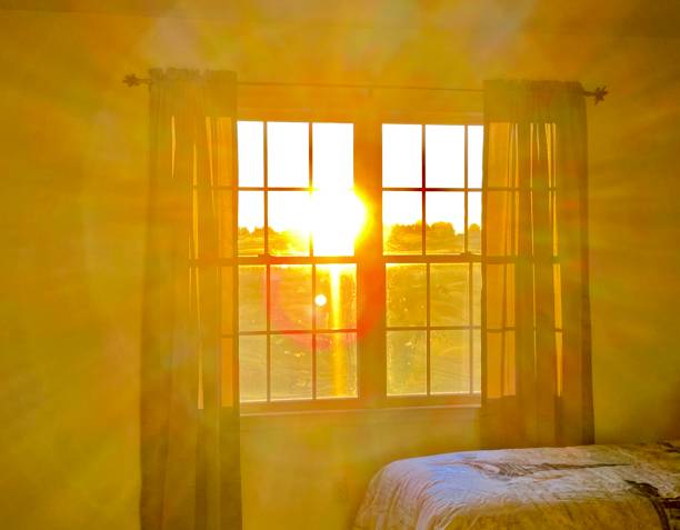 istock A nice awakening with the rays of the sun 1267319696