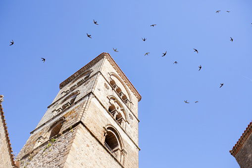 Swifts flying over Torre Julia of Santa Maria la Mayor church, Trujillo, Spain