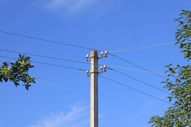 istock old concrete electric pole among trees against a blue sky 1267327937