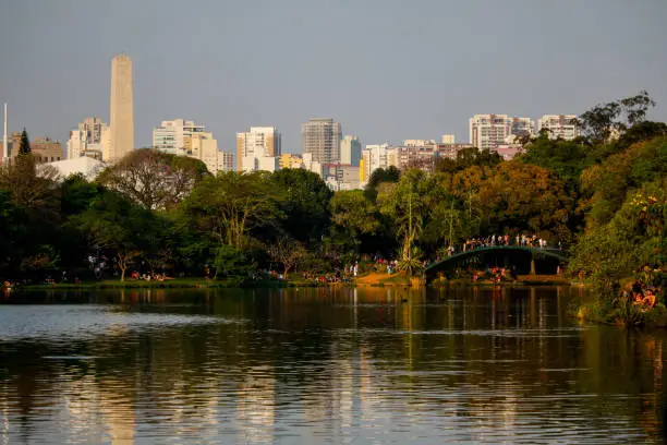 Photo of A view of the City of Sao Paulo from de Ibirapuera Park