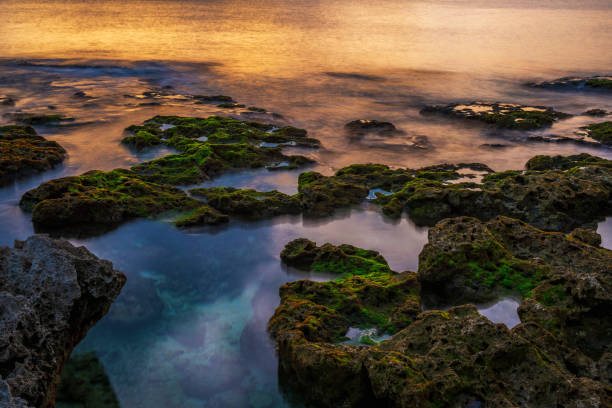 istock Beautiful Landscape With Tropical Sea 1267336134