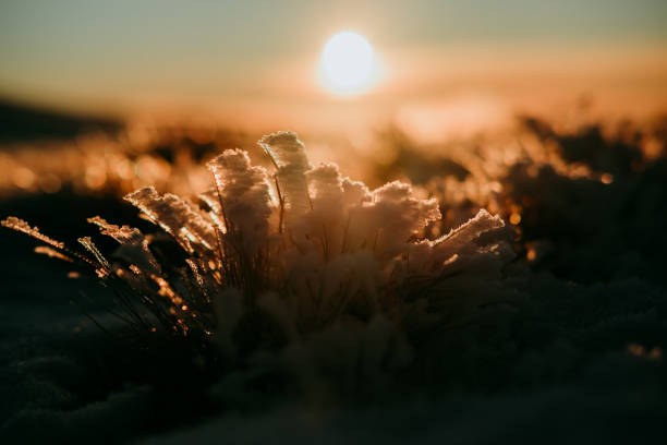 istock sunset in the french Vosges 1267336191