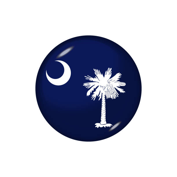 глянцевый флаг значок сут каролина - south carolina flag interface icons symbol stock illustrations