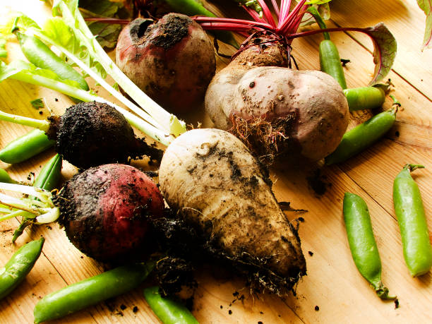 Veggies