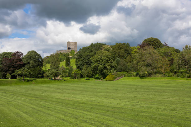 View of Clitheroe castle and trees with a blue sky background. Ribble valley public park Old Norman castle in the Ribble valley. Clitheroe landmark tourist destination norman uk tree sunlight stock pictures, royalty-free photos & images